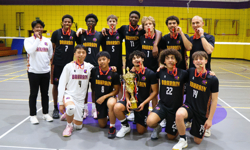Website Image - Volleyball Win